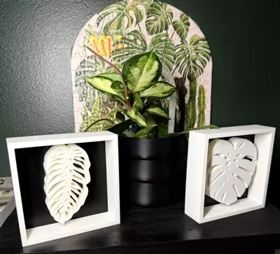 plant/Monstera Leaf Shadowbox | 3d printed-4-thumbnail