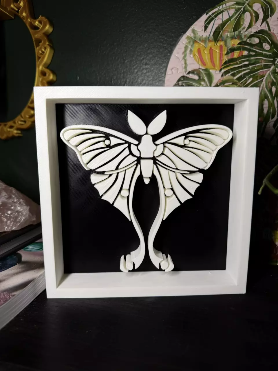plant/Luna Moth Shadowbox | 3d printed-0