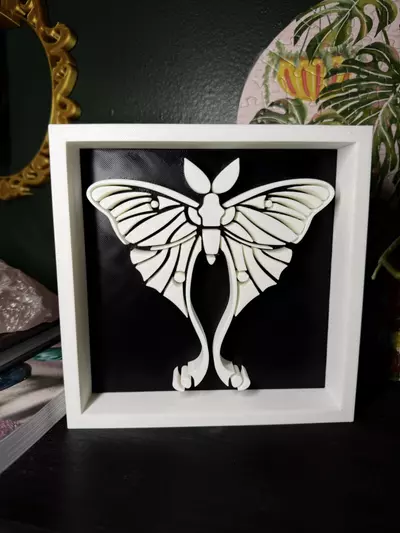 plant/Luna Moth Shadowbox | 3d printed-0-thumbnail
