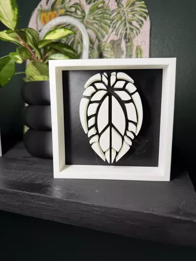 plant/Anthurium Shadowbox | 3d printed-2-thumbnail