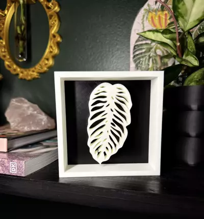 plant/Monstera Leaf Shadowbox | 3d printed-2-thumbnail