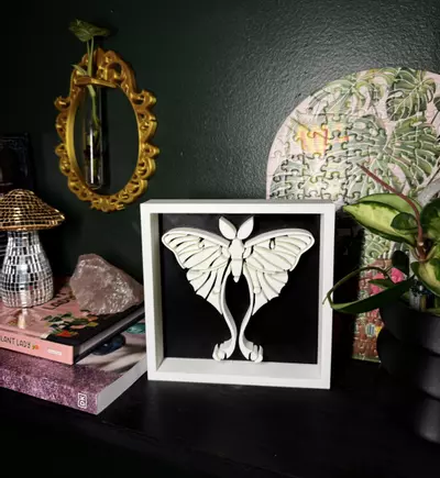 plant/Luna Moth Shadowbox | 3d printed-3-thumbnail