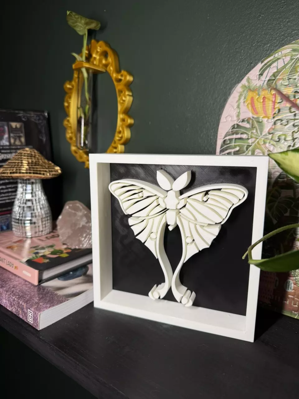 plant/Luna Moth Shadowbox | 3d printed-4
