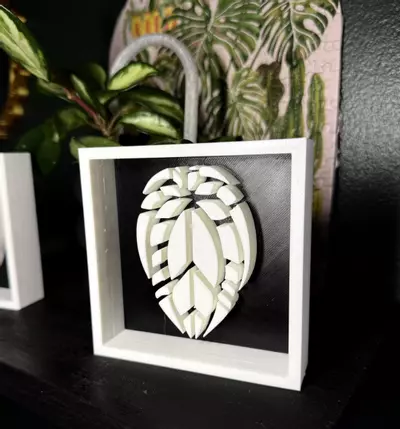plant/Anthurium Shadowbox | 3d printed-1-thumbnail