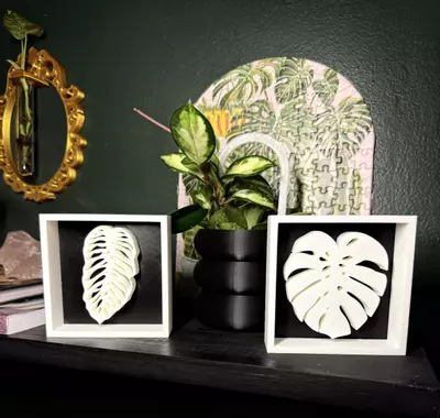 plant/Monstera Leaf Shadowbox | 3d printed-3-thumbnail
