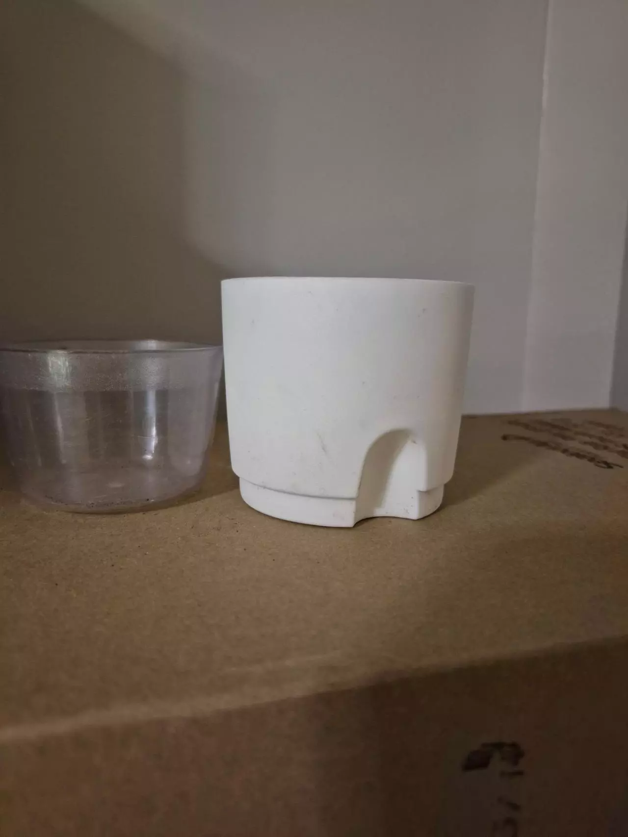 plant/Self-Watering 3" Pots, Set of Four-8