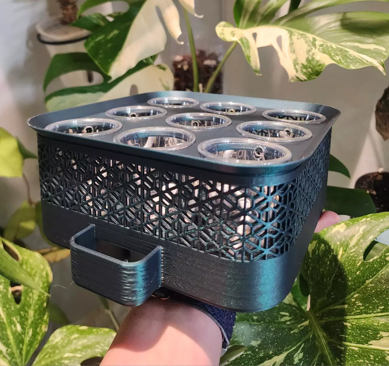 plant/Green Galaxy (color shifting) vacation tray with clear cups-0