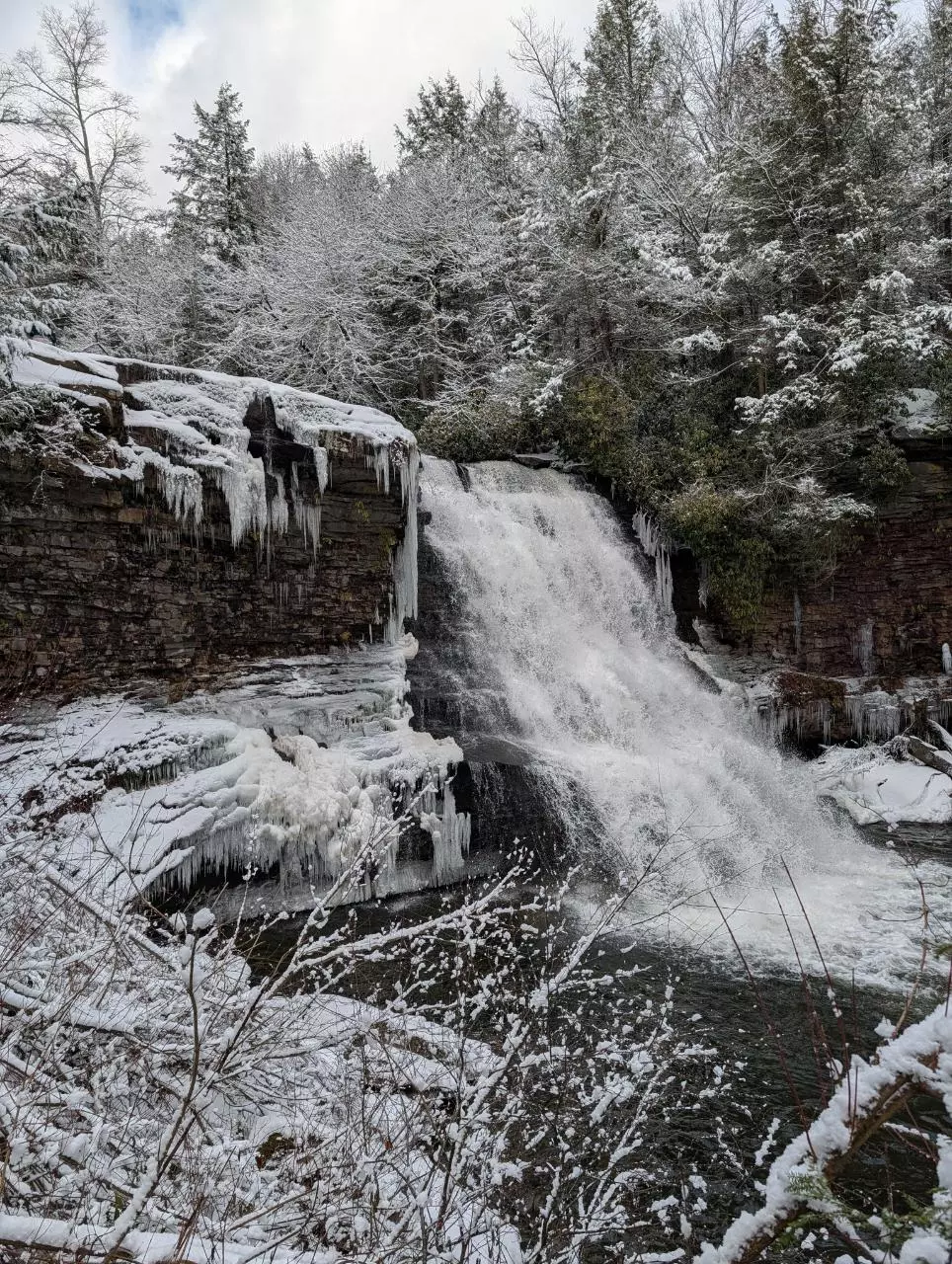 plant/Double Insulation-0