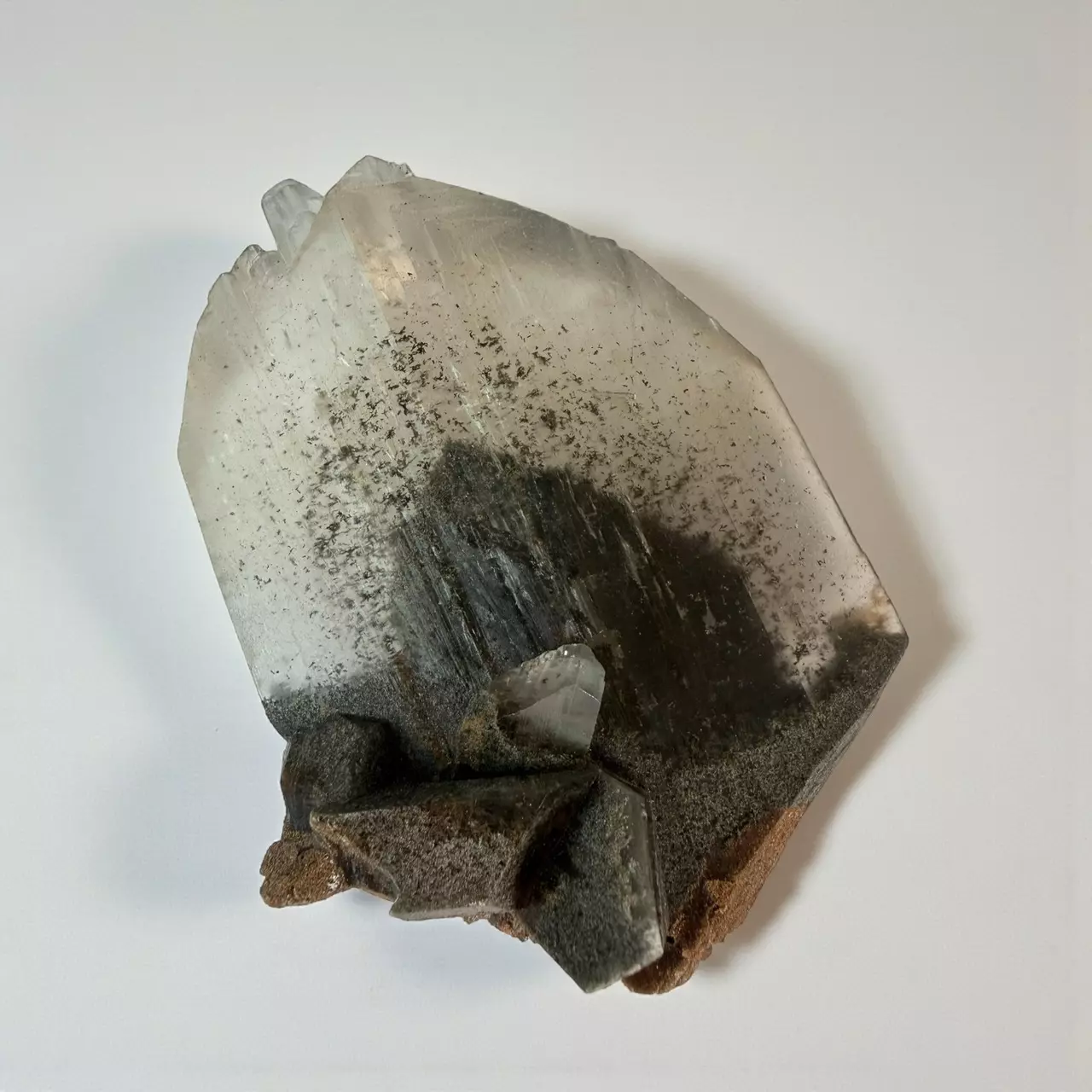 plant/Rare Black Phantom Selenite-1