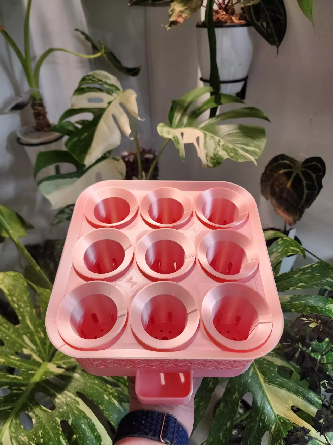 plant/Pink Silk vacation tray with printed cups-2