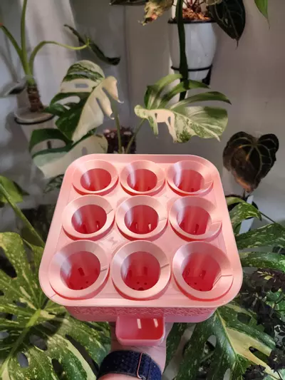 plant/Pink Silk vacation tray with printed cups-2-thumbnail