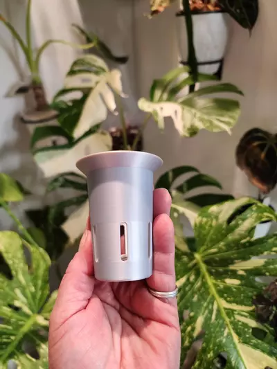 plant/Silver silk vacation tray with printed cups-2-thumbnail