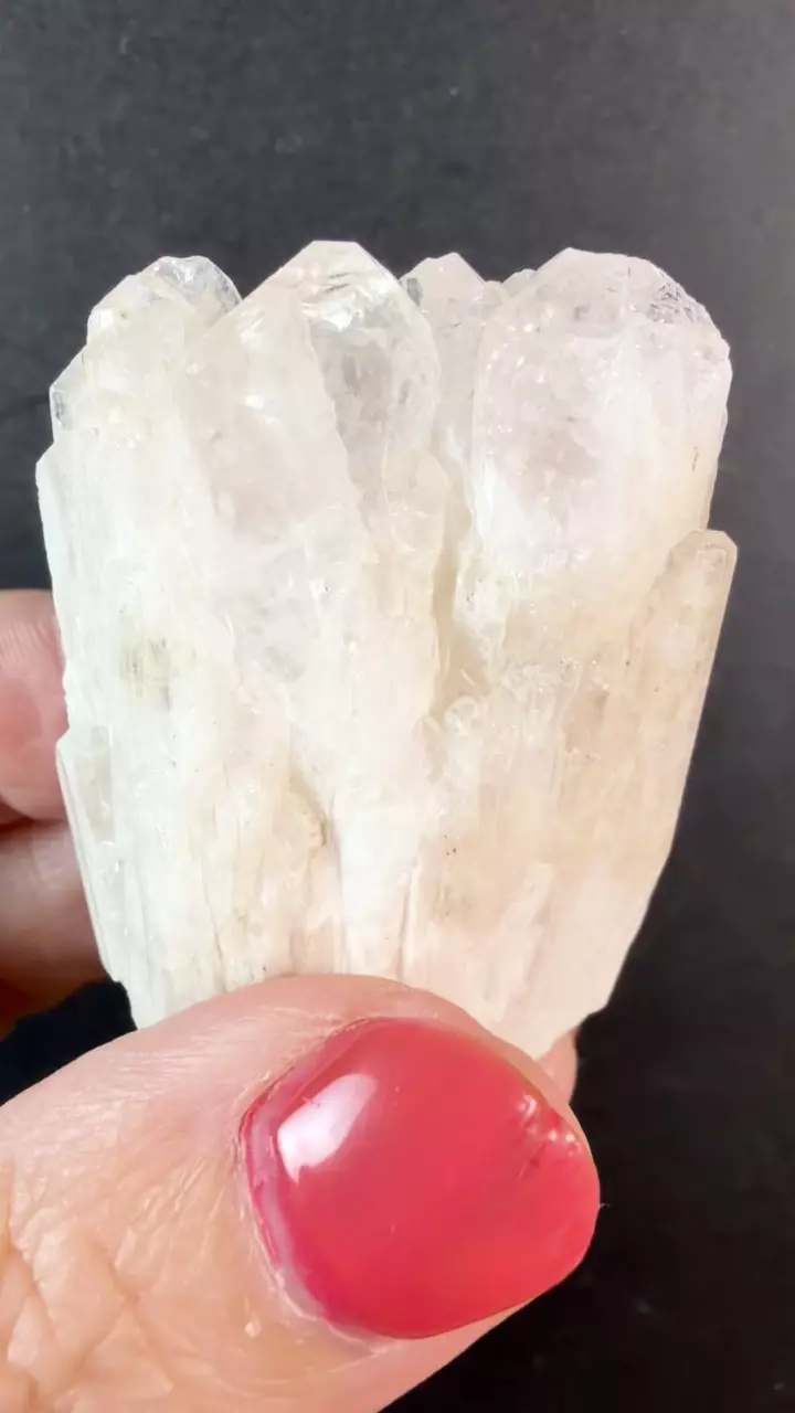 plant/Danburite Crystal from San Luis Potosi Mexico-2