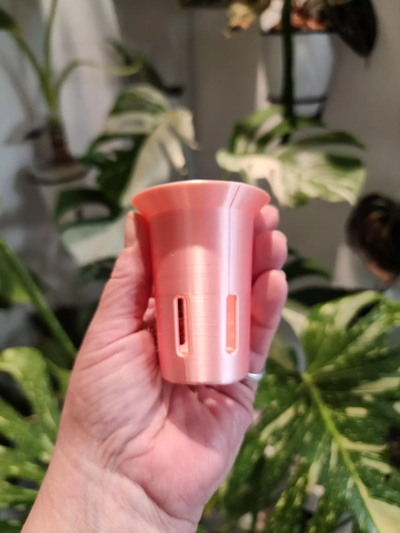 plant/Pink Silk vacation tray with printed cups-1