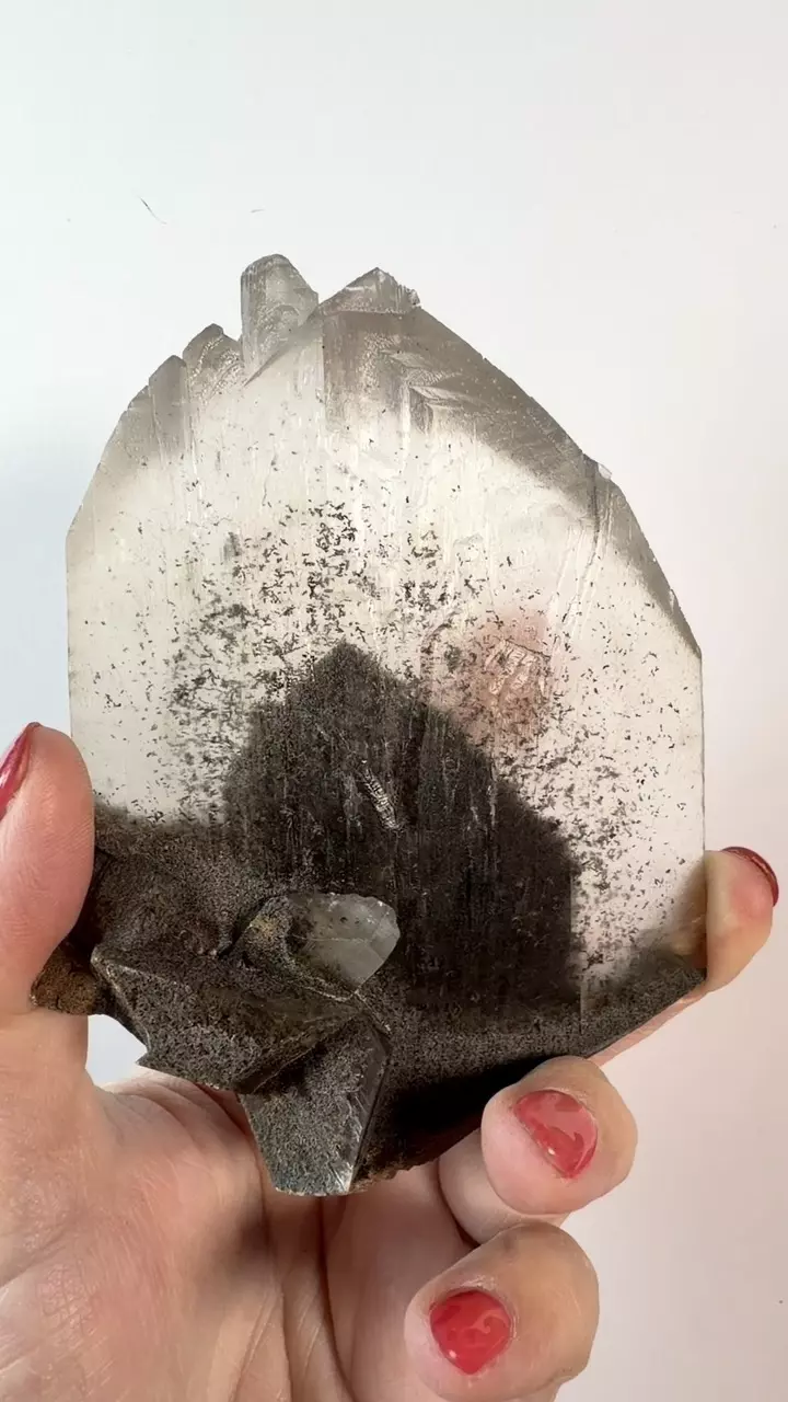 plant/Rare Black Phantom Selenite-2