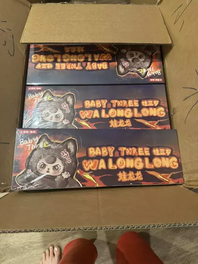 plant/Wailong long-0-thumbnail