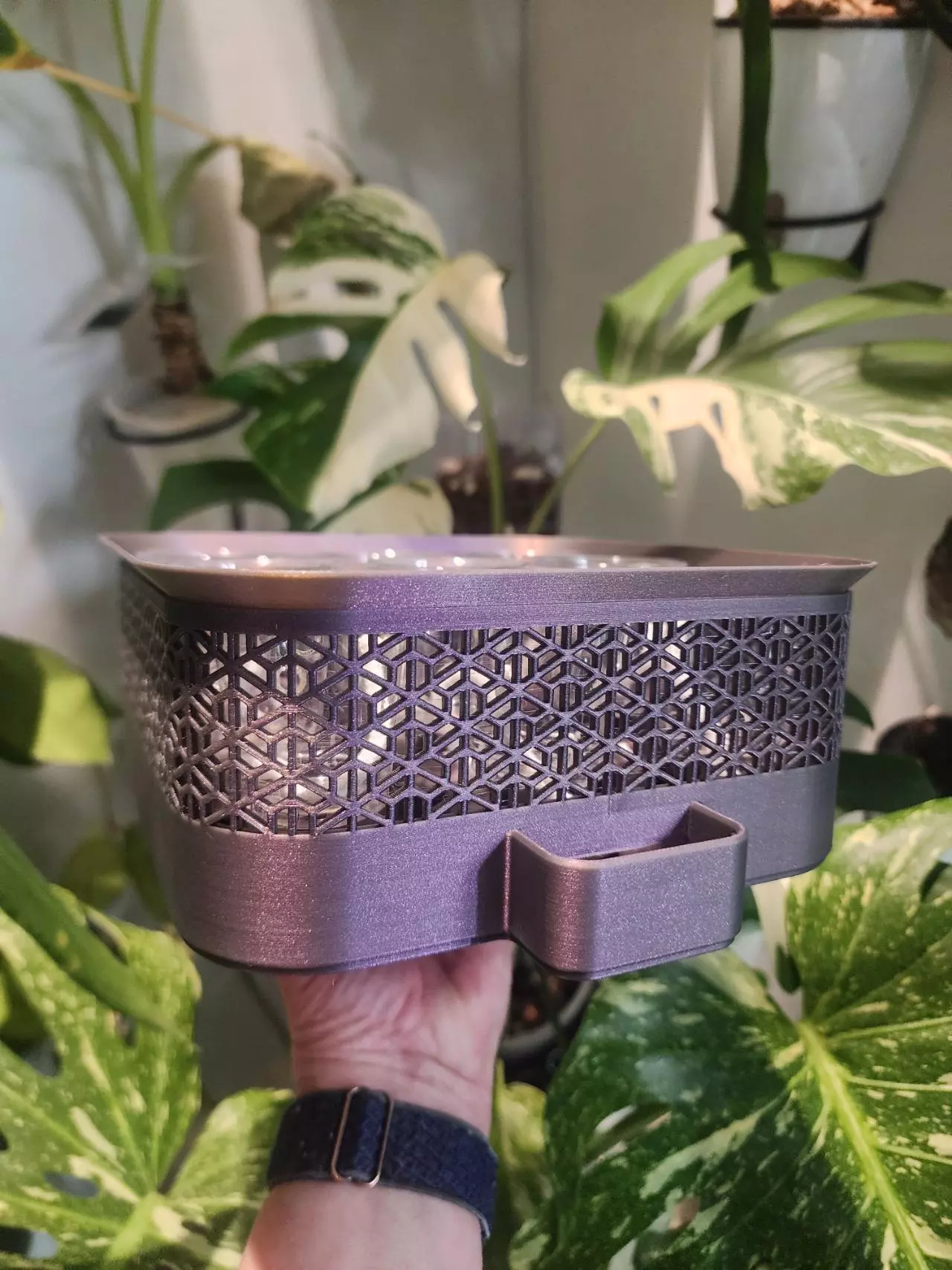 plant/Plum galaxy (color shifting) vacation tray with clear cups-0