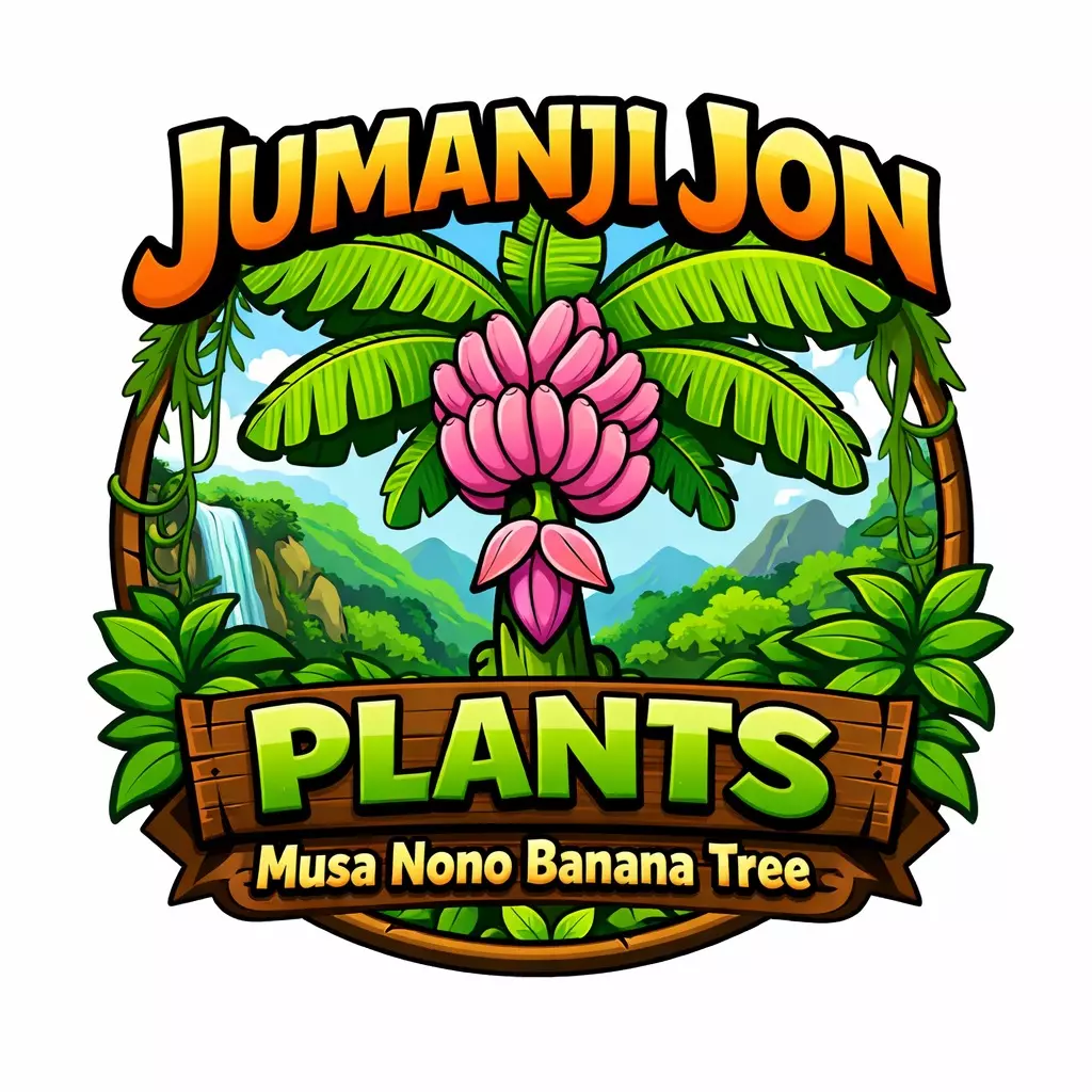 plant/Musa Nono Pink Banana 🍌 Tree TC-0