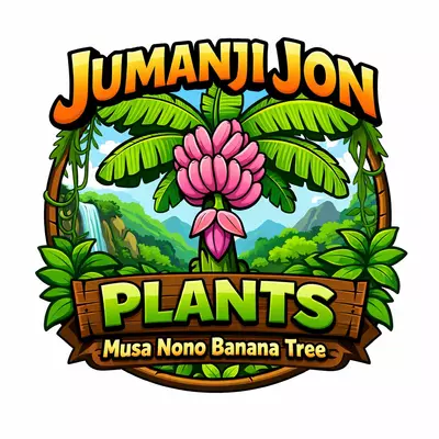 plant/Musa Nono Pink Banana 🍌 Tree TC-0-thumbnail