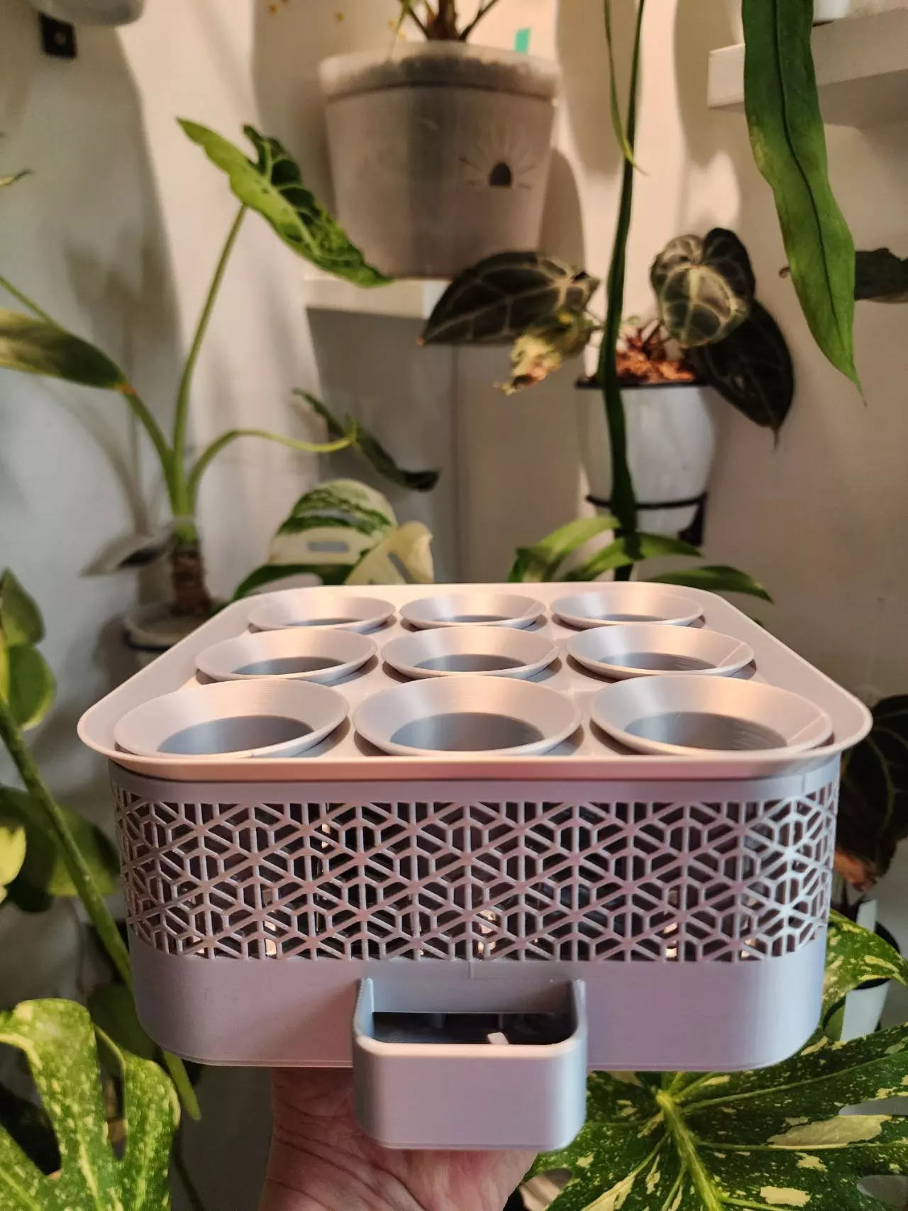 plant/Silver silk vacation tray with printed cups-0