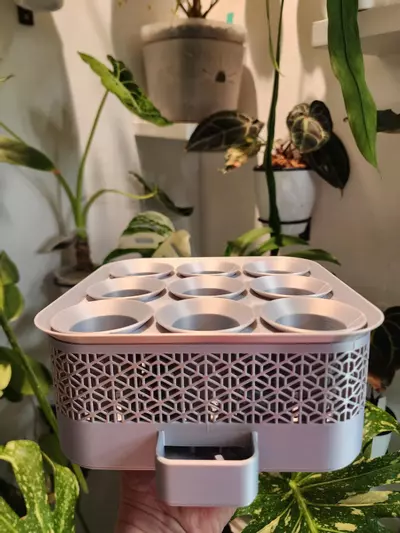 plant/Silver silk vacation tray with printed cups-0-thumbnail