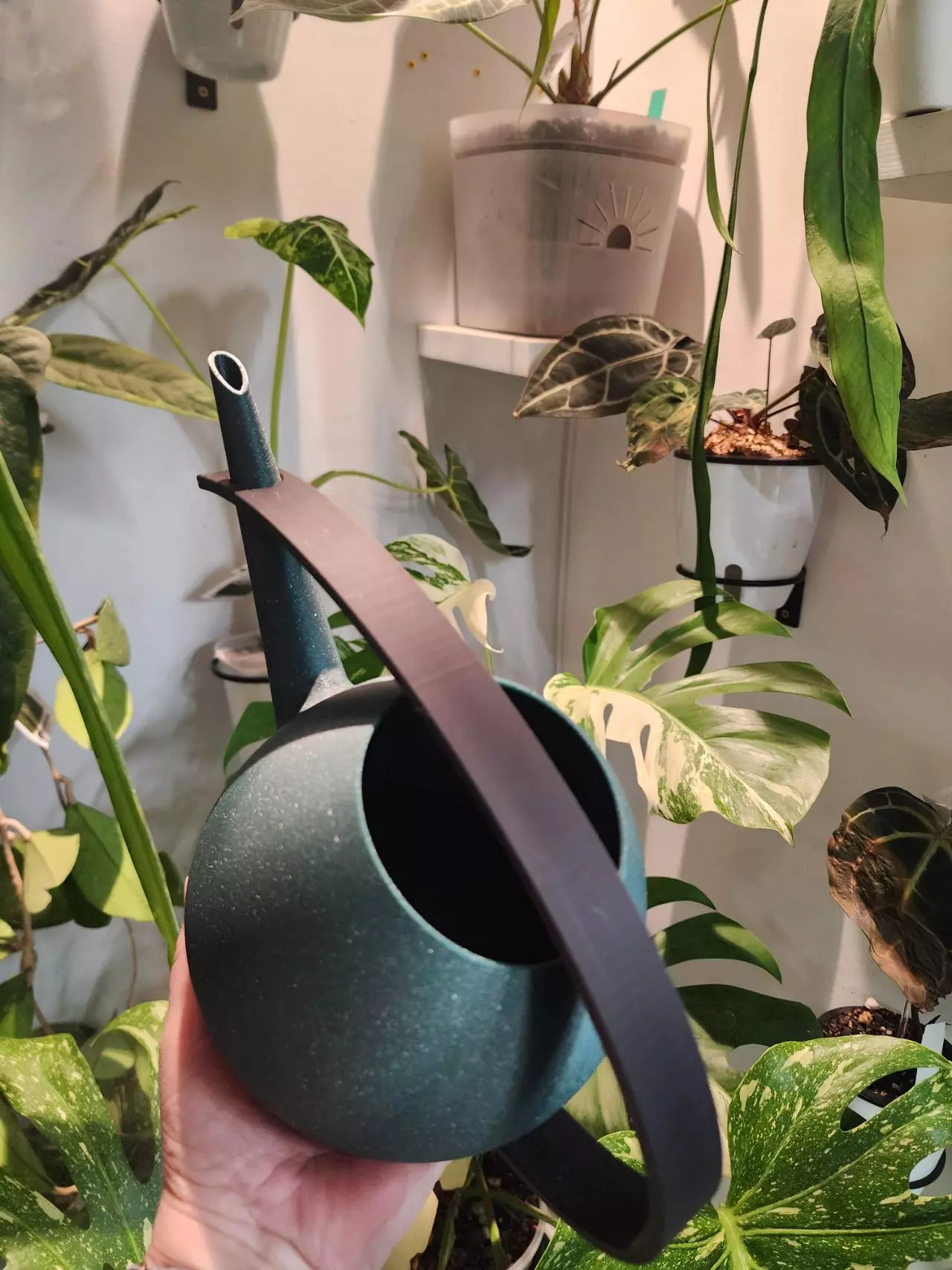 plant/Green sparkle and Black watering can 1.5 qt-1