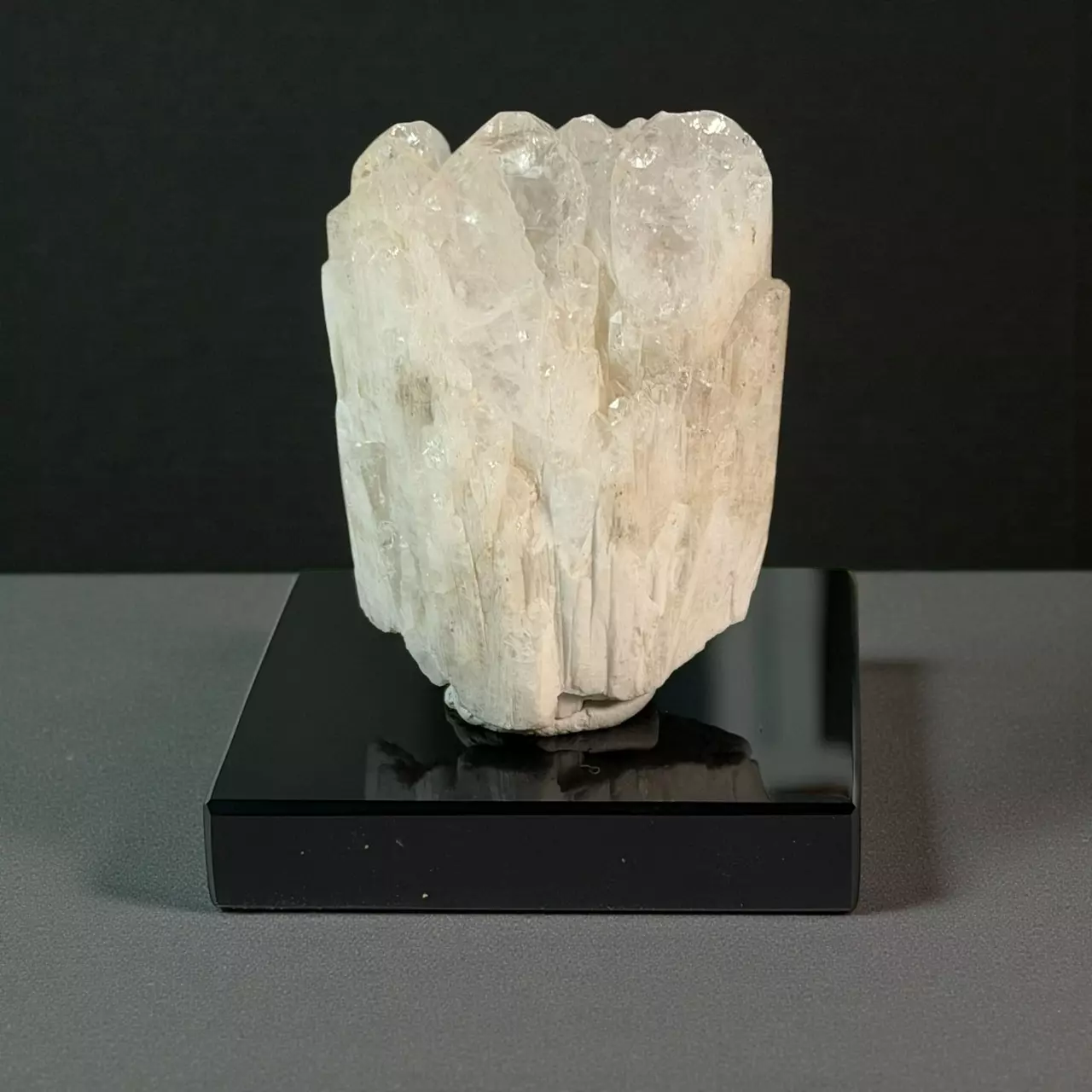 plant/Danburite Crystal from San Luis Potosi Mexico-1