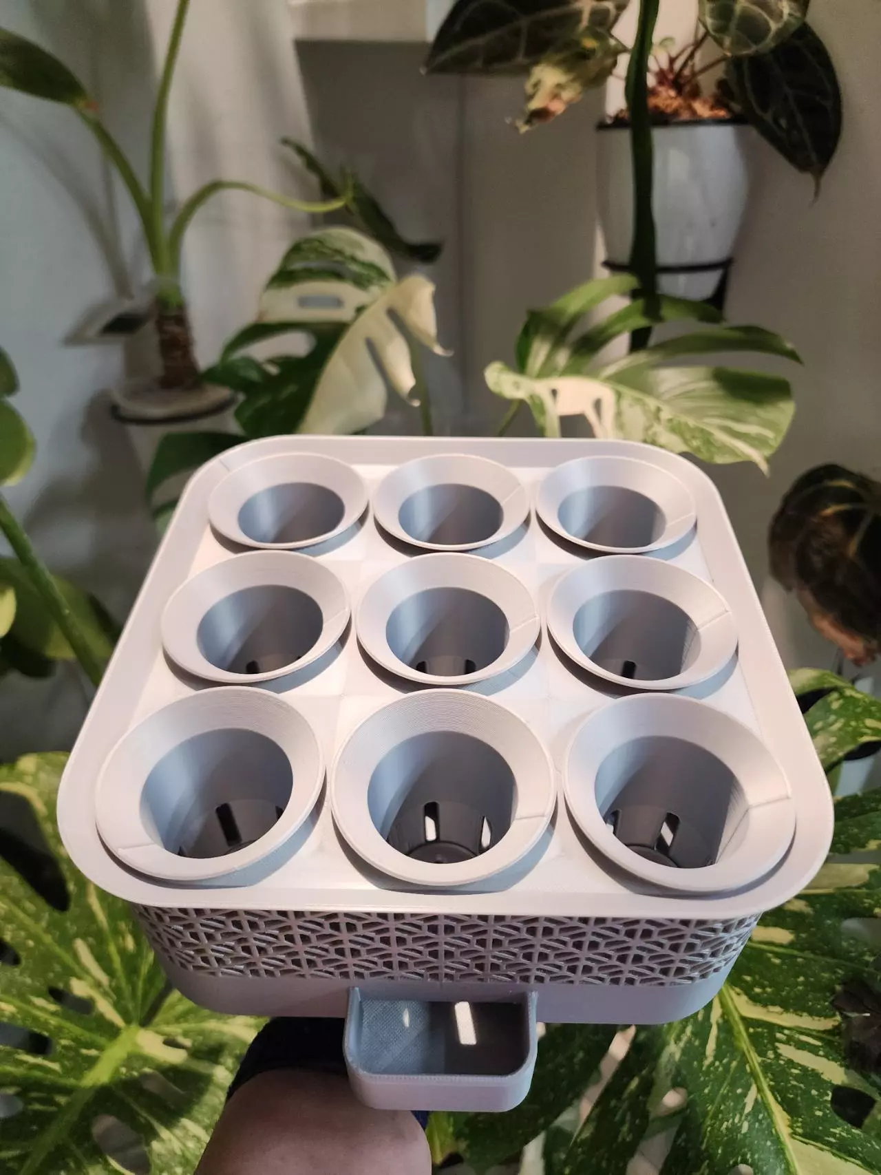 plant/Silver silk vacation tray with printed cups-1