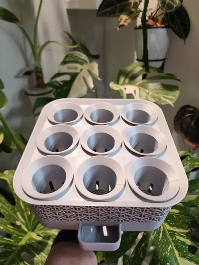 plant/Silver silk vacation tray with printed cups-1-thumbnail