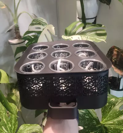 plant/Black Vacation Tray with clear cups-0-thumbnail