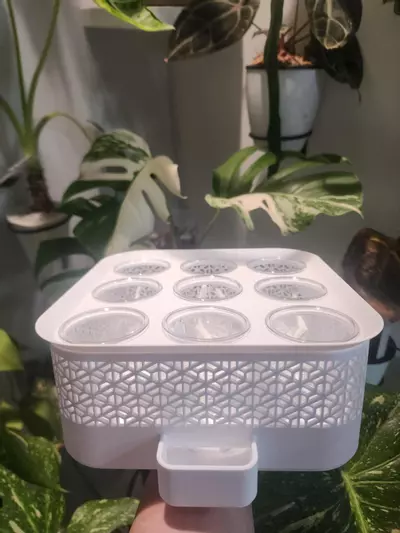 plant/White vacation tray with clear cups-0-thumbnail