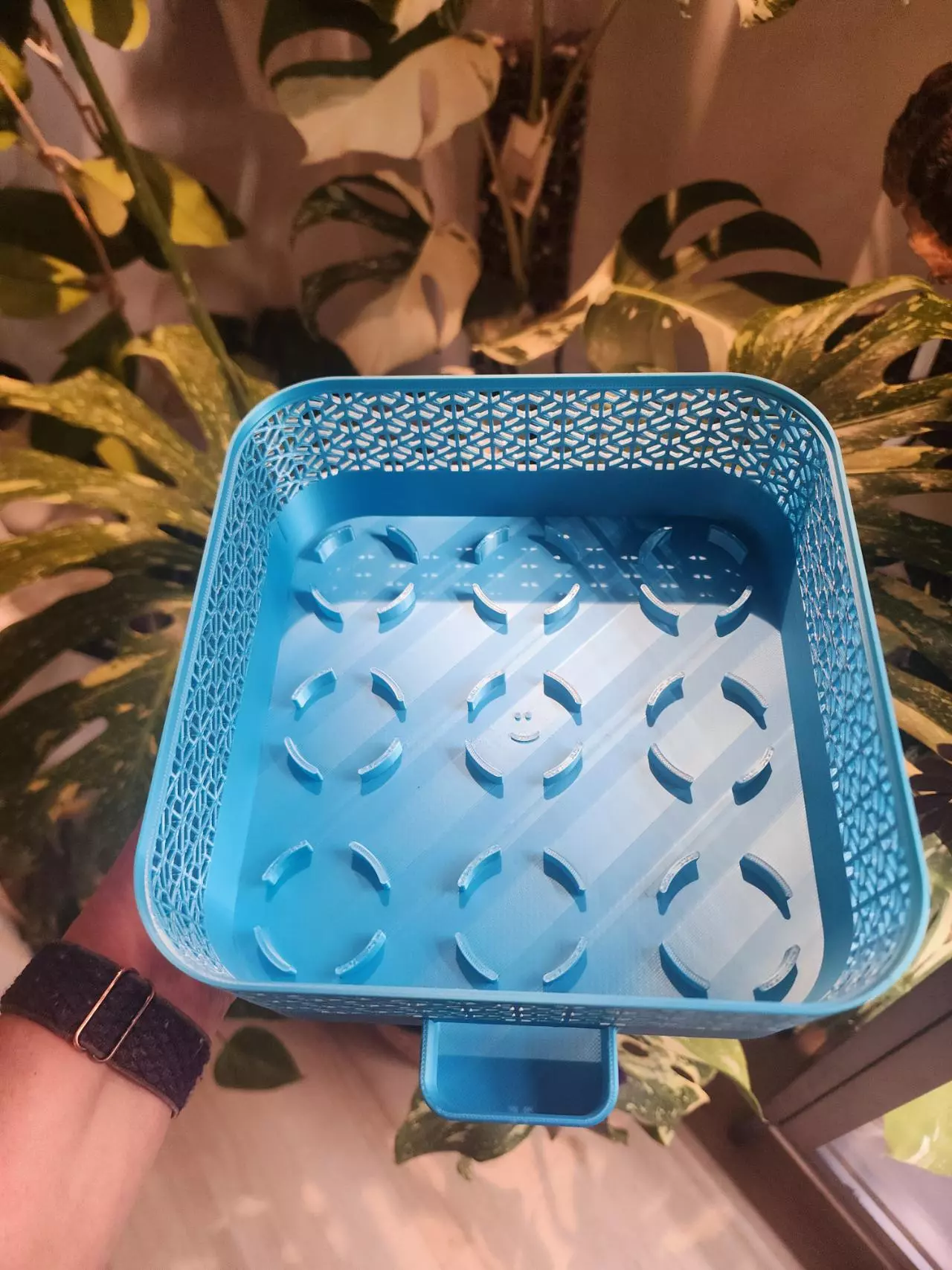 plant/Blue silk vacation tray with 3d printed cups-3