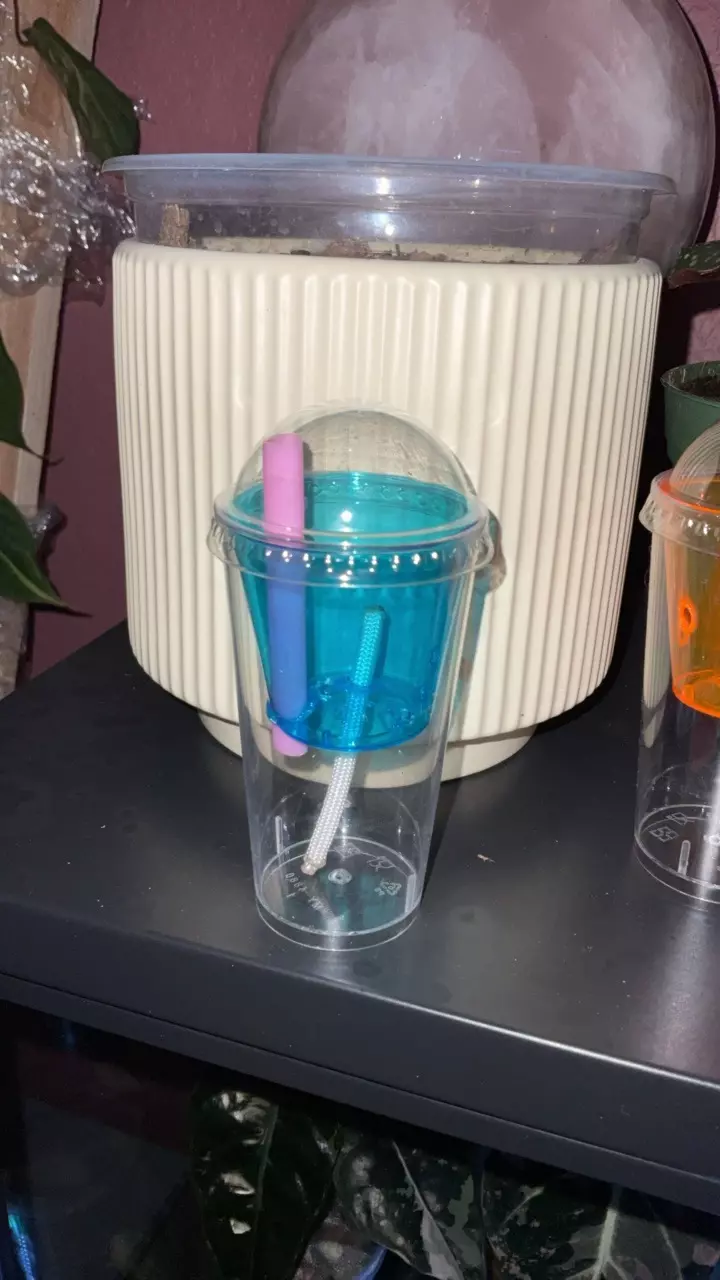 free_shipping/1oz corm cup-0