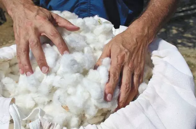 free_shipping/Extra Cotton protection-0