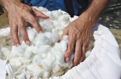 free_shipping/Extra Cotton protection-0-thumbnail