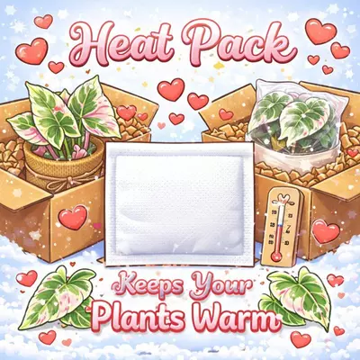 plant/Heat Pack-0-thumbnail