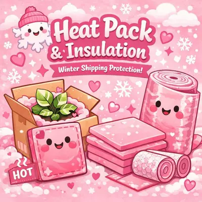 plant/Heat Pack and Insulation-0-thumbnail