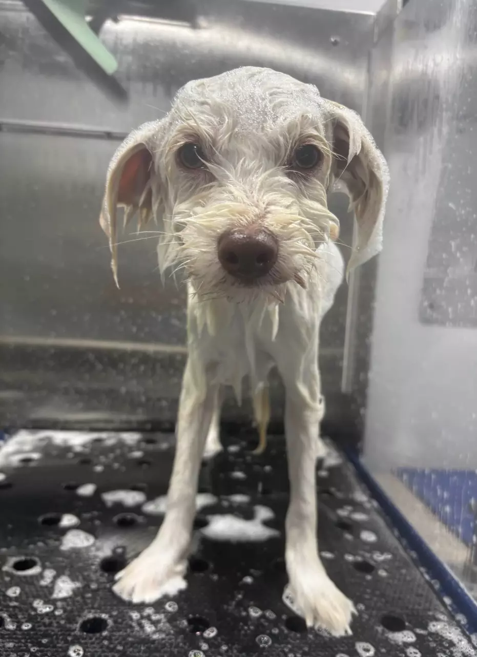 plant/HOLD MY ORDER!-0