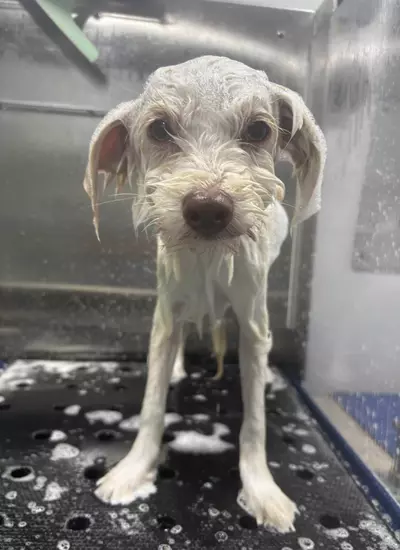 plant/HOLD MY ORDER!-0-thumbnail