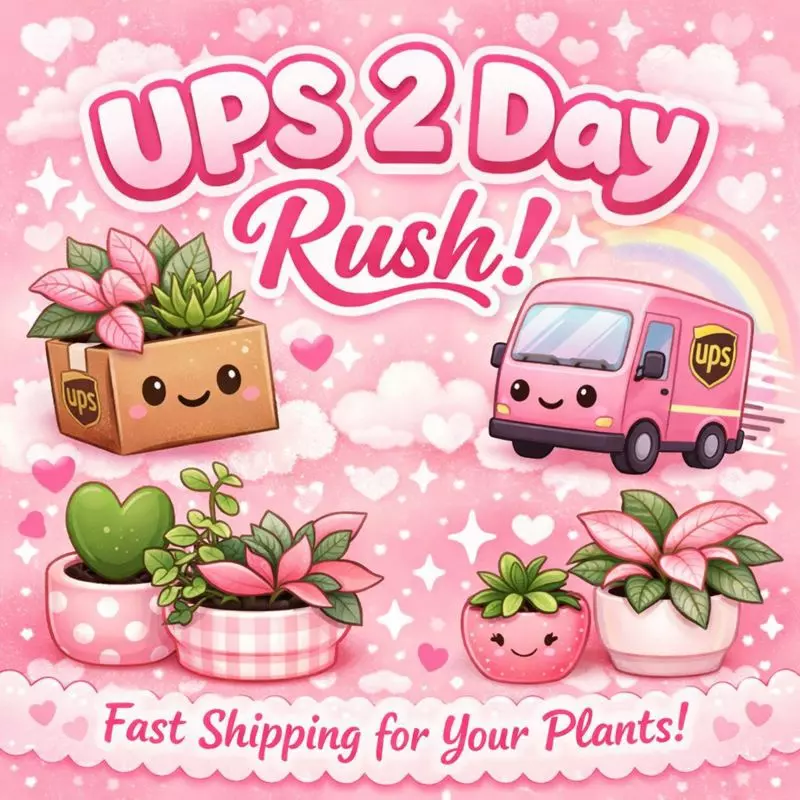 plant/2 Day UPS Rush-0