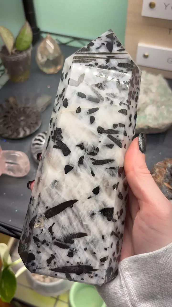 plant/8” large chunk tourmaline in quartz-0