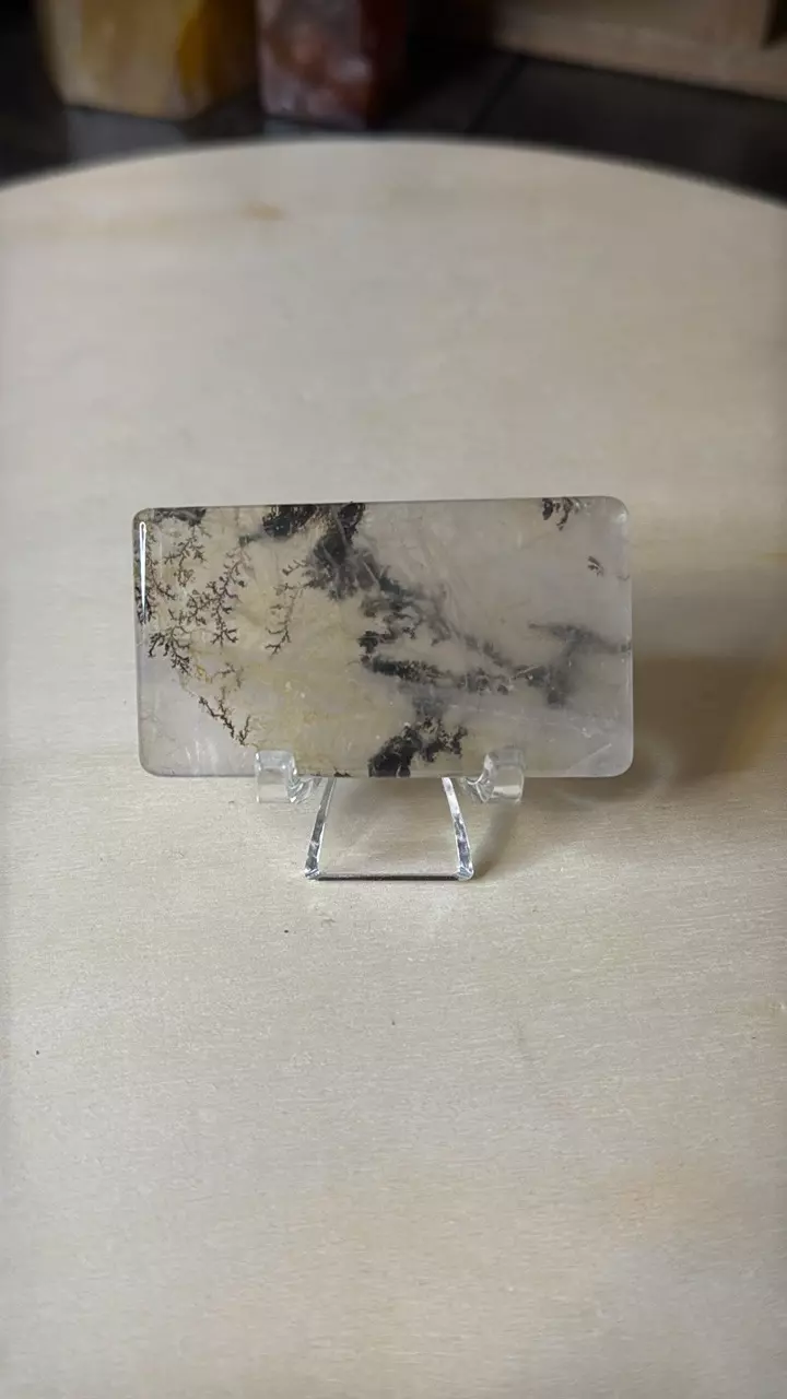 plant/$25 | Dendritic Quartz Rectangle-0