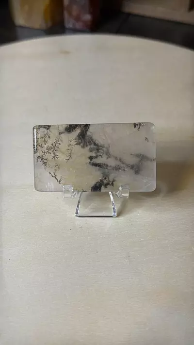 plant/$25 | Dendritic Quartz Rectangle-0-thumbnail
