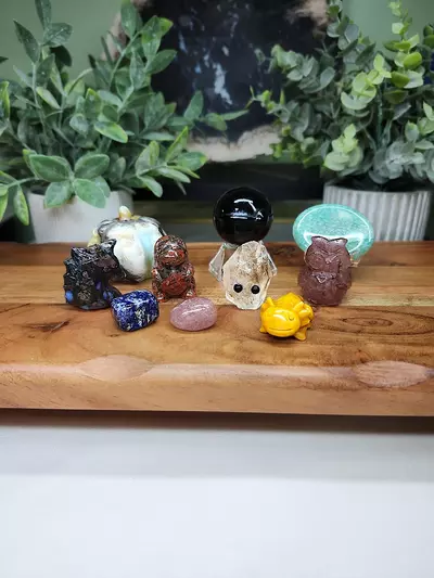 plant/Dragon Bundle (3)-0-thumbnail