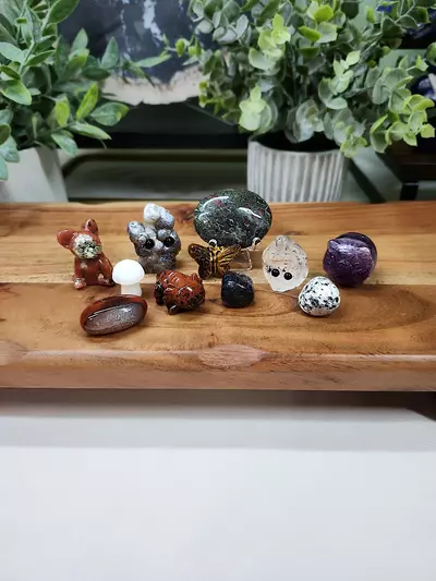 plant/Dragon Bundle (2)-0-thumbnail