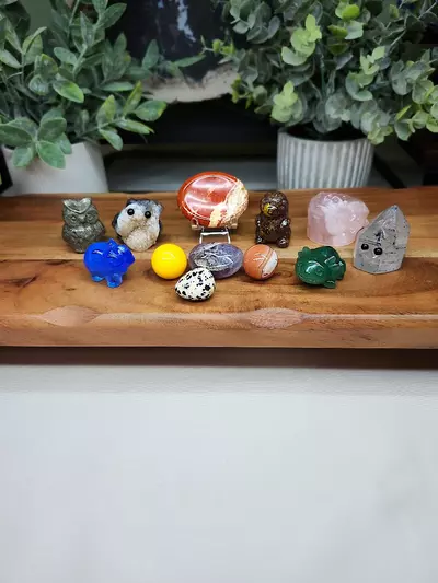 plant/Dragon Bundle (4)-0-thumbnail