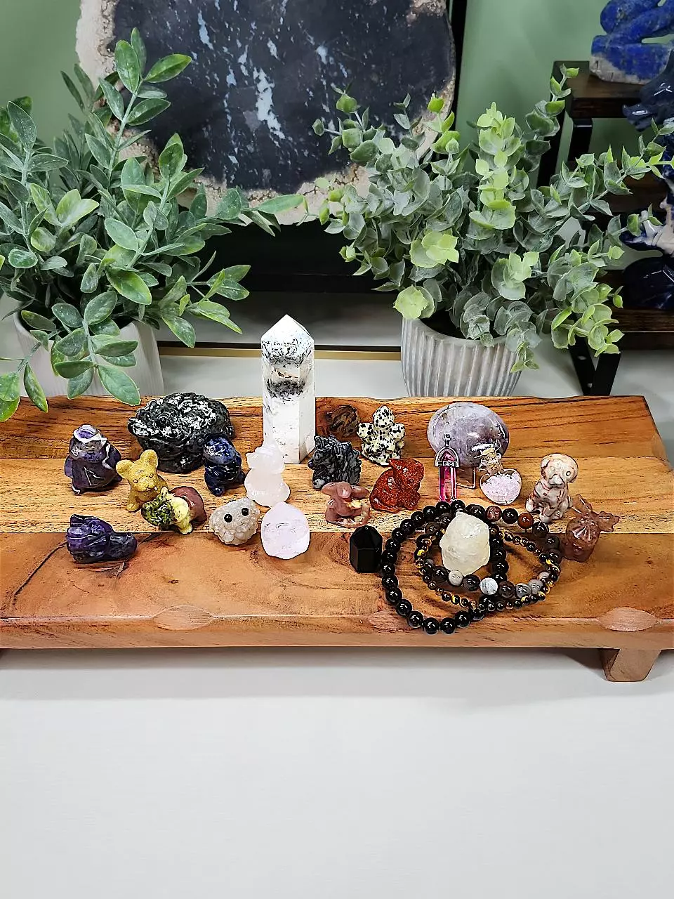 plant/Dragon Bundle (1)-0