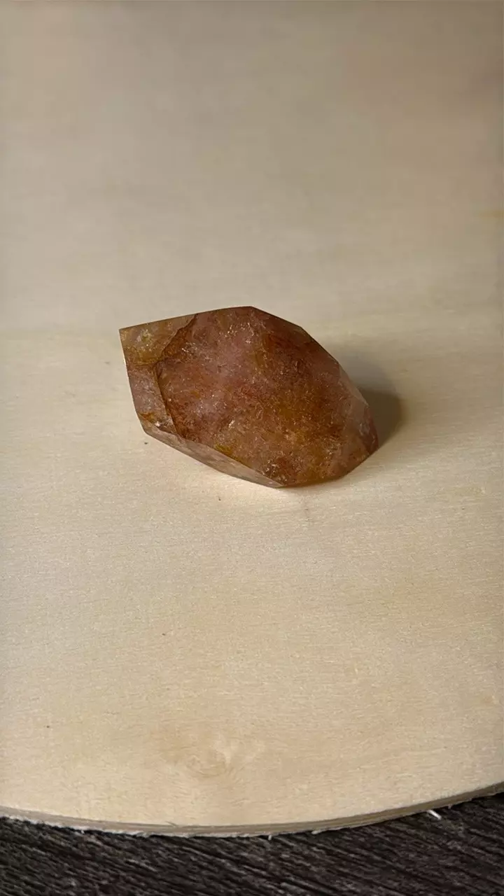 plant/$12 | Hematoid DT-0