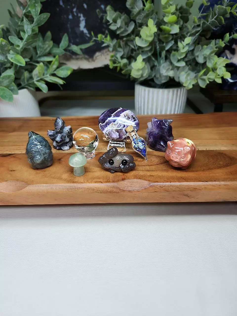 plant/Dragon Bundle (5)-0