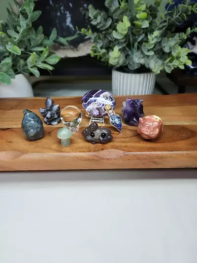 plant/Dragon Bundle (5)-0-thumbnail